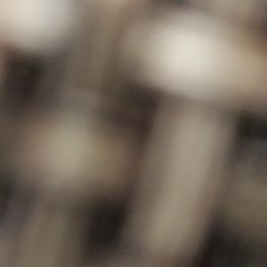 Meet your Posher, Lily